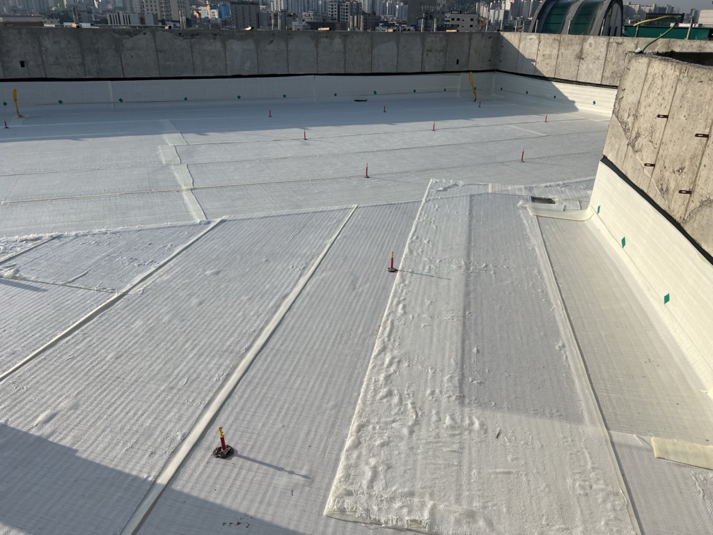 면목동 132-1 소리의원 신축공사 공사일보